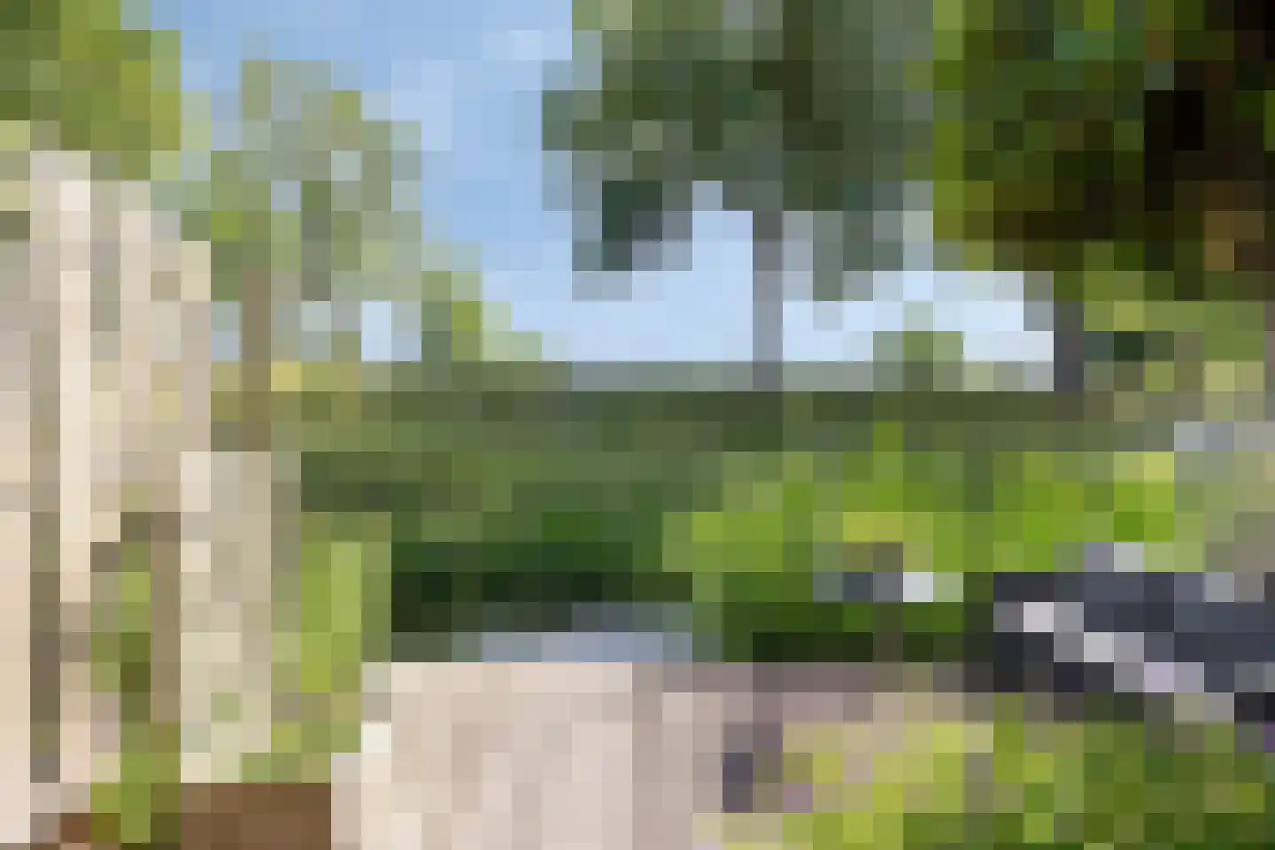 De Beuk 33 Rhoon thumbnail 15