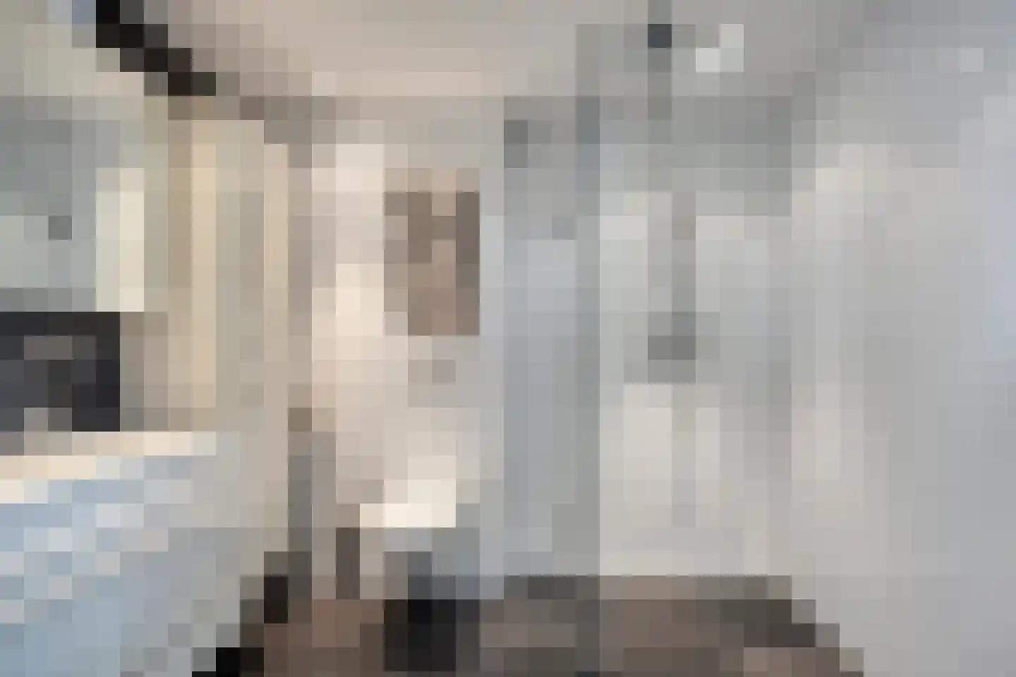 De Beuk 33 Rhoon thumbnail 24