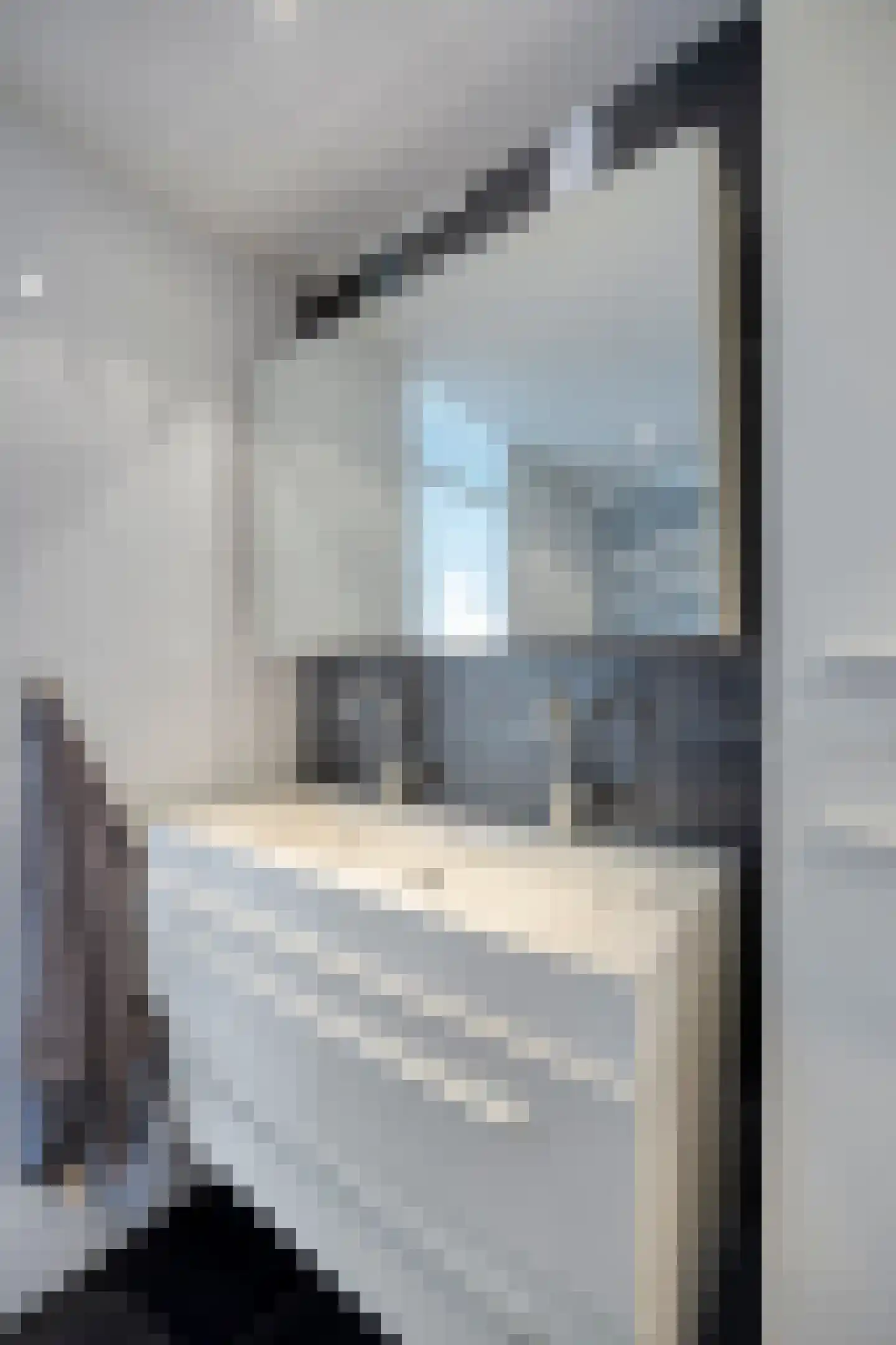 De Beuk 33 Rhoon thumbnail 27