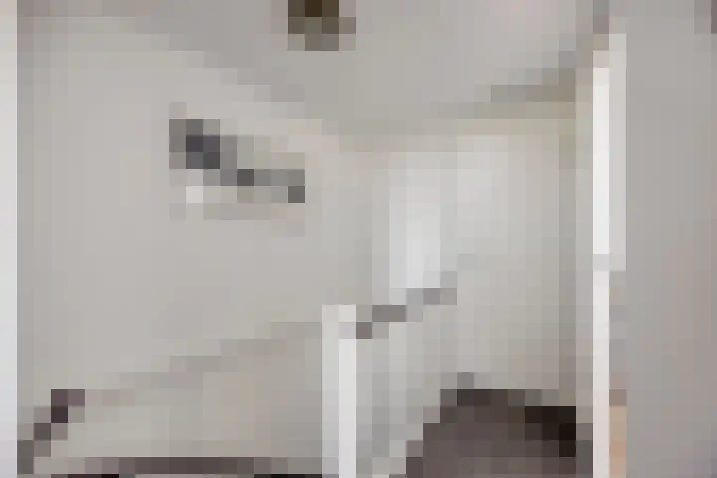 De Beuk 33 Rhoon thumbnail 30