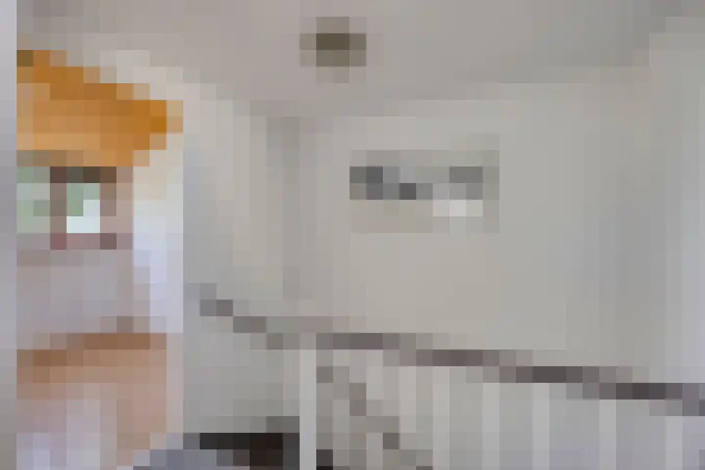 De Beuk 33 Rhoon thumbnail 32