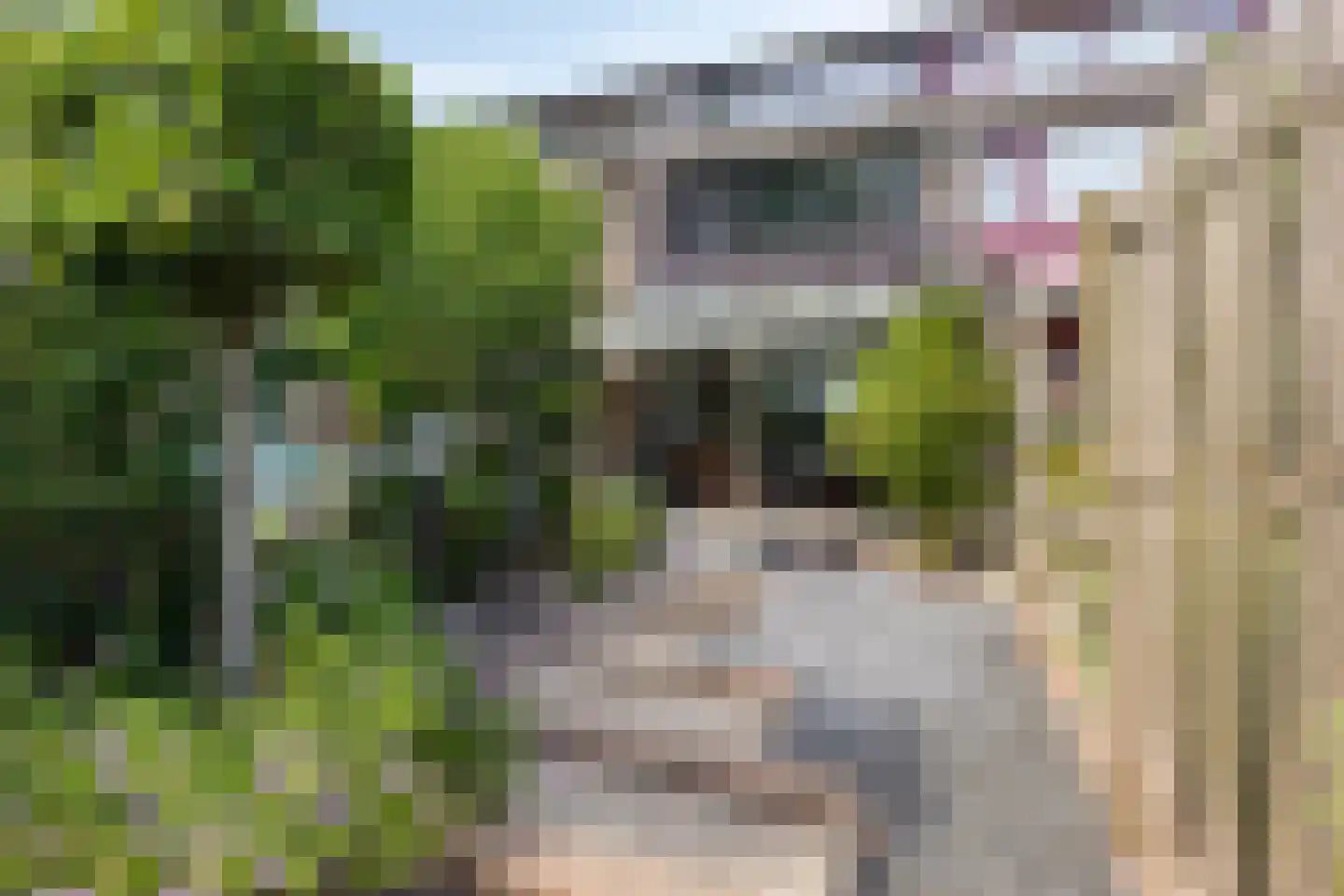 De Beuk 33 Rhoon thumbnail 35