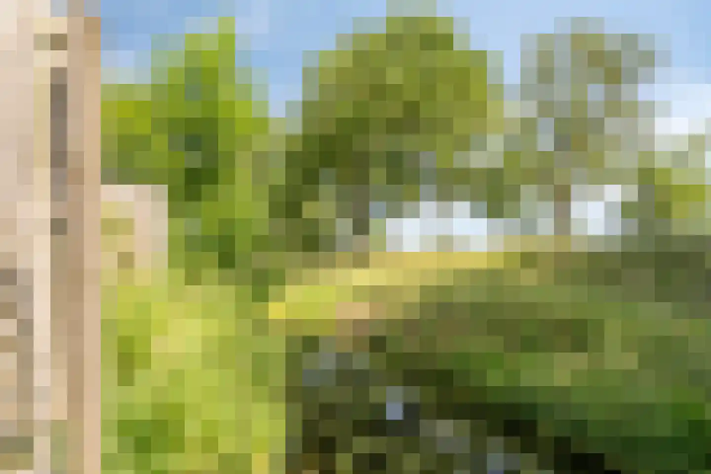 De Beuk 33 Rhoon thumbnail 38