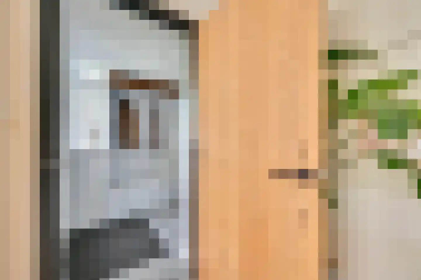 De Beuk 4 Zevenhuizen thumbnail 10