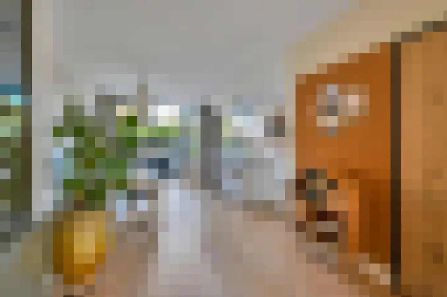De Beuk 4 Zevenhuizen thumbnail 15