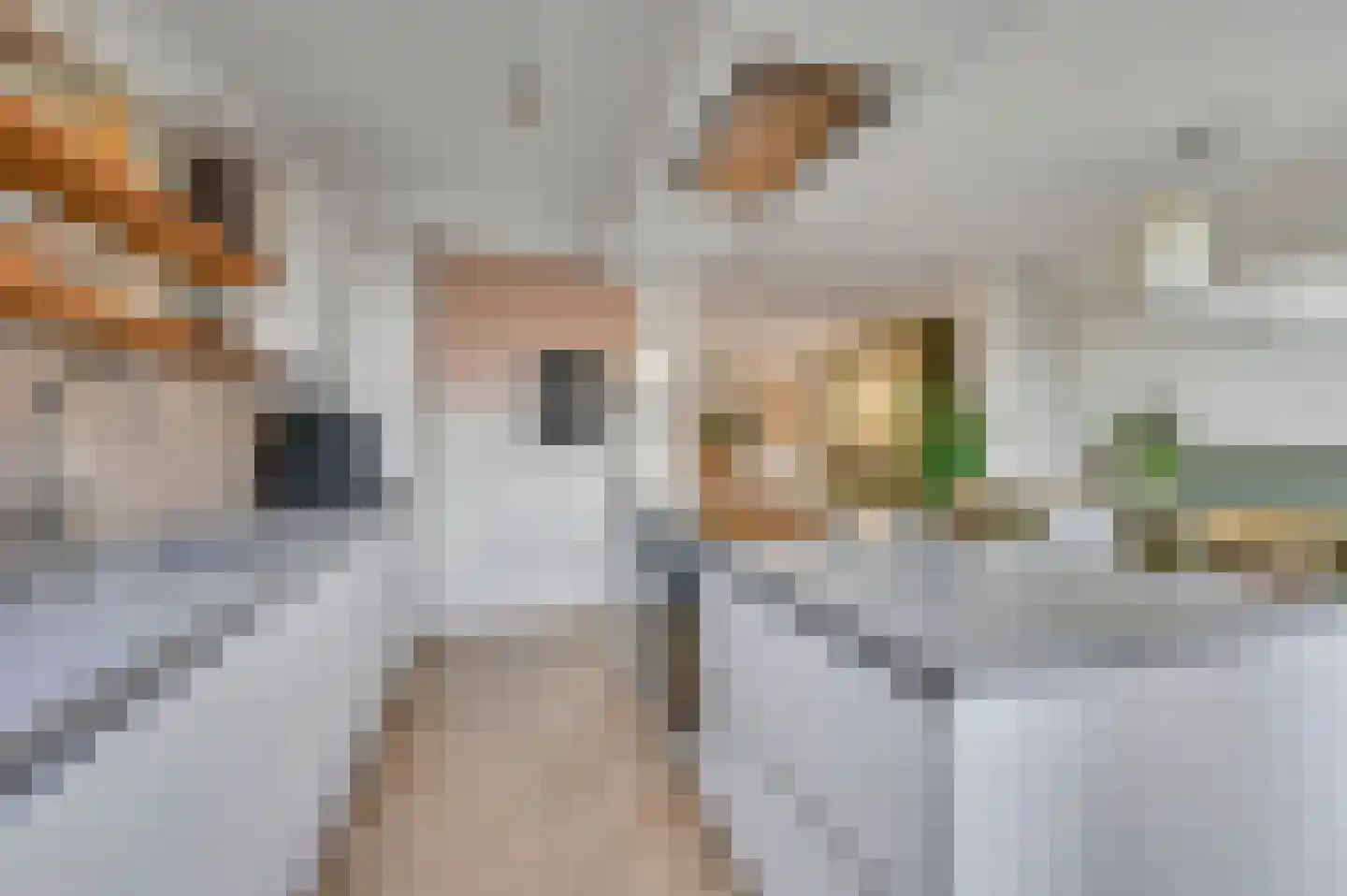 De Beuk 4 Zevenhuizen thumbnail 18