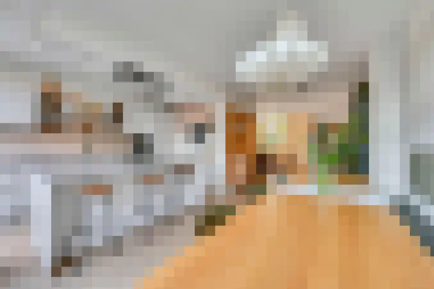 De Beuk 4 Zevenhuizen thumbnail 19