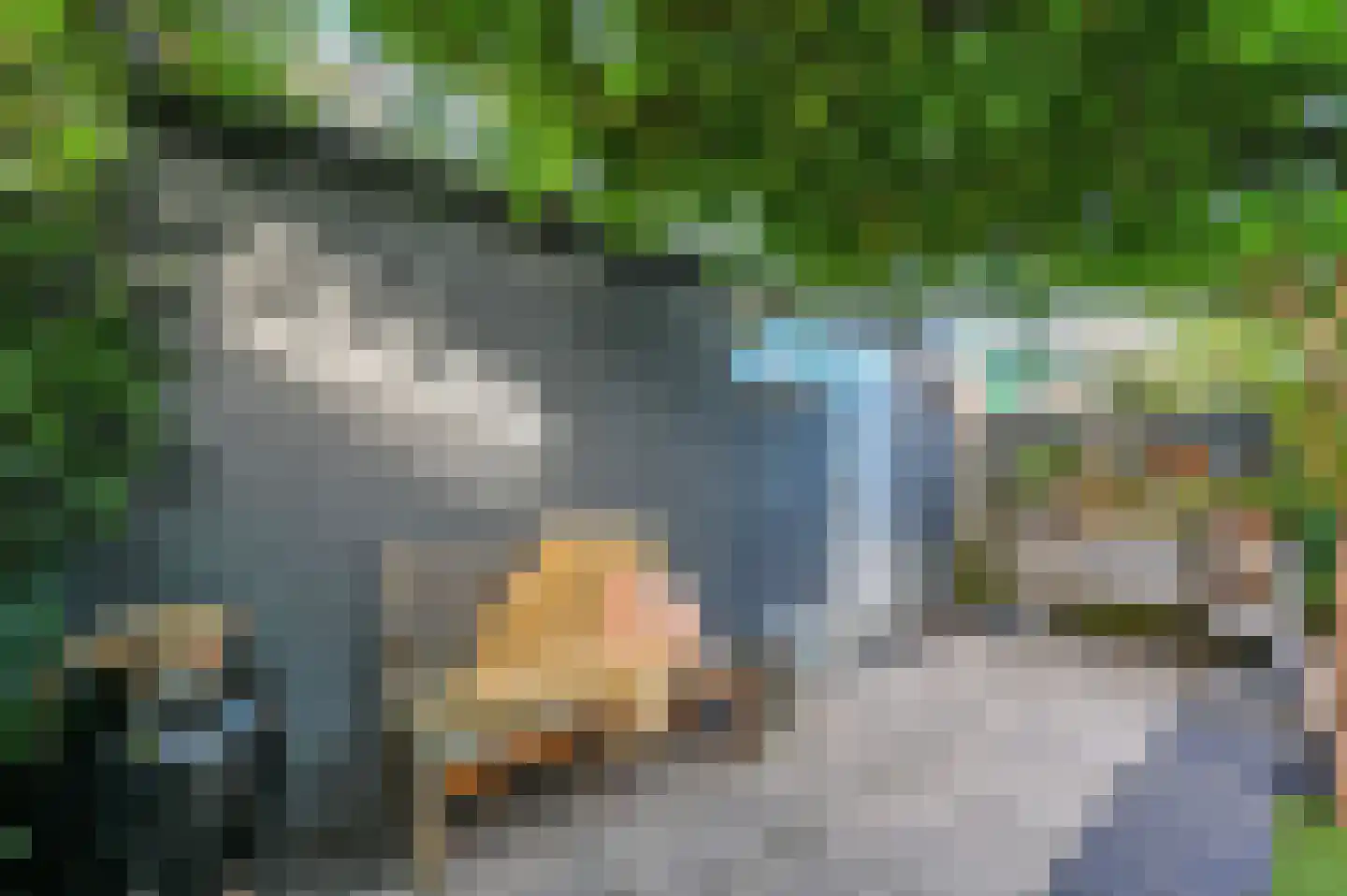 De Beuk 4 Zevenhuizen thumbnail 25