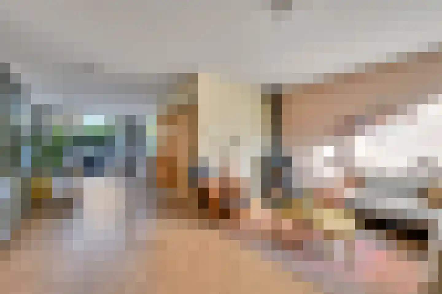 De Beuk 4 Zevenhuizen foto 3