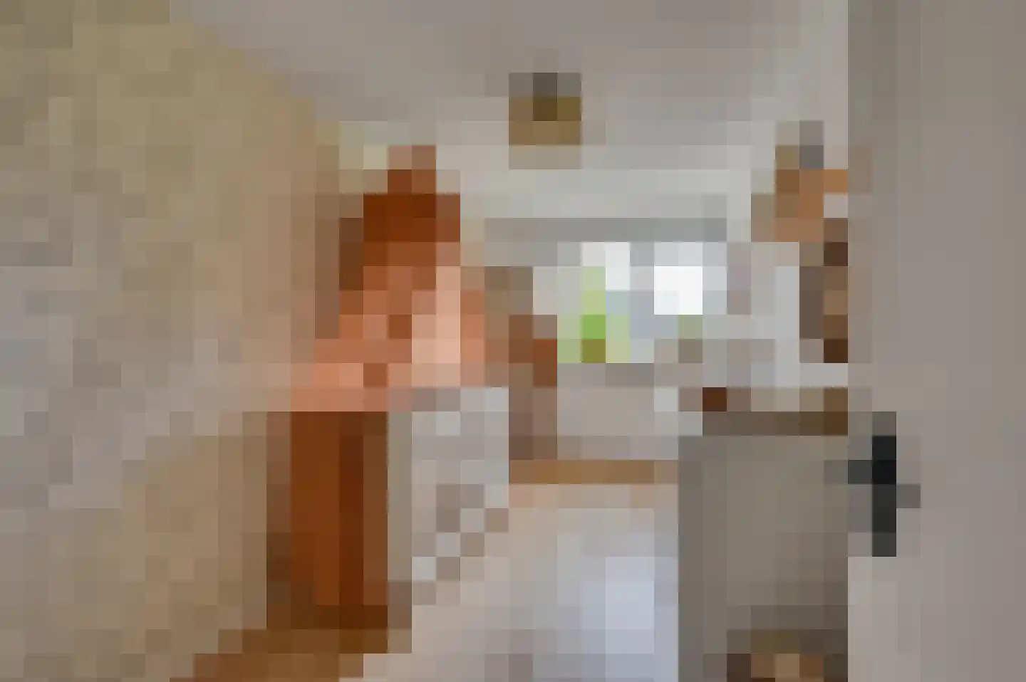 De Beuk 4 Zevenhuizen thumbnail 35