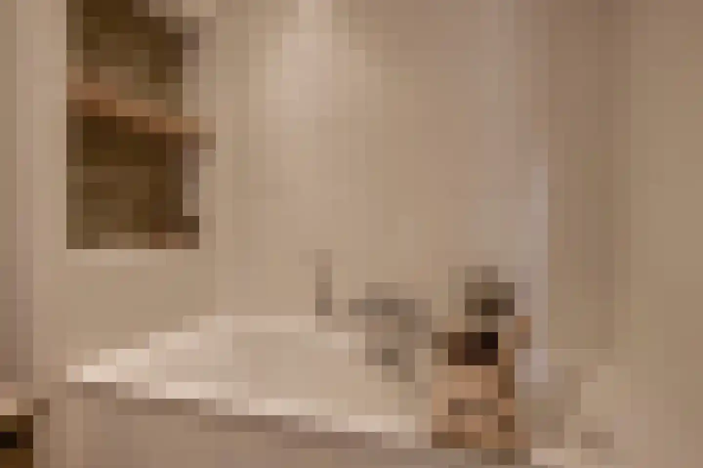De Beuk 4 Zevenhuizen thumbnail 39