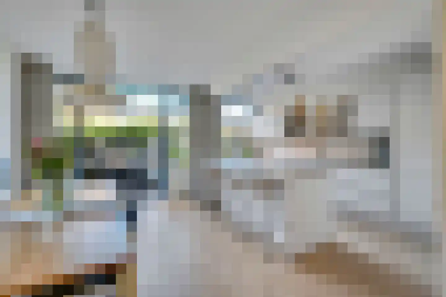 De Beuk 4 Zevenhuizen thumbnail 4