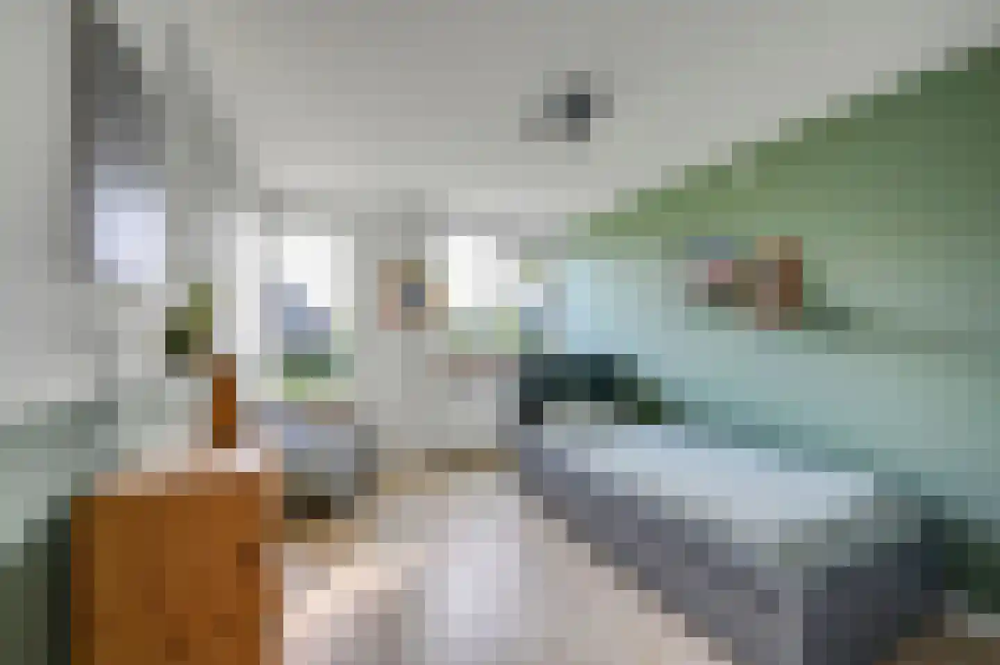 De Beuk 4 Zevenhuizen thumbnail 40