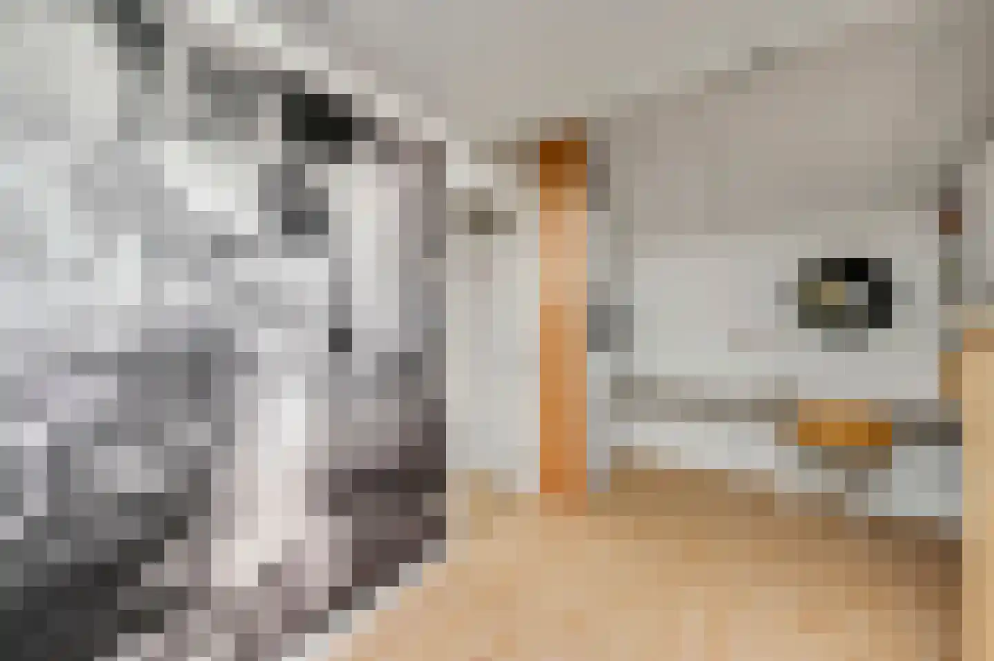 De Beuk 4 Zevenhuizen thumbnail 42