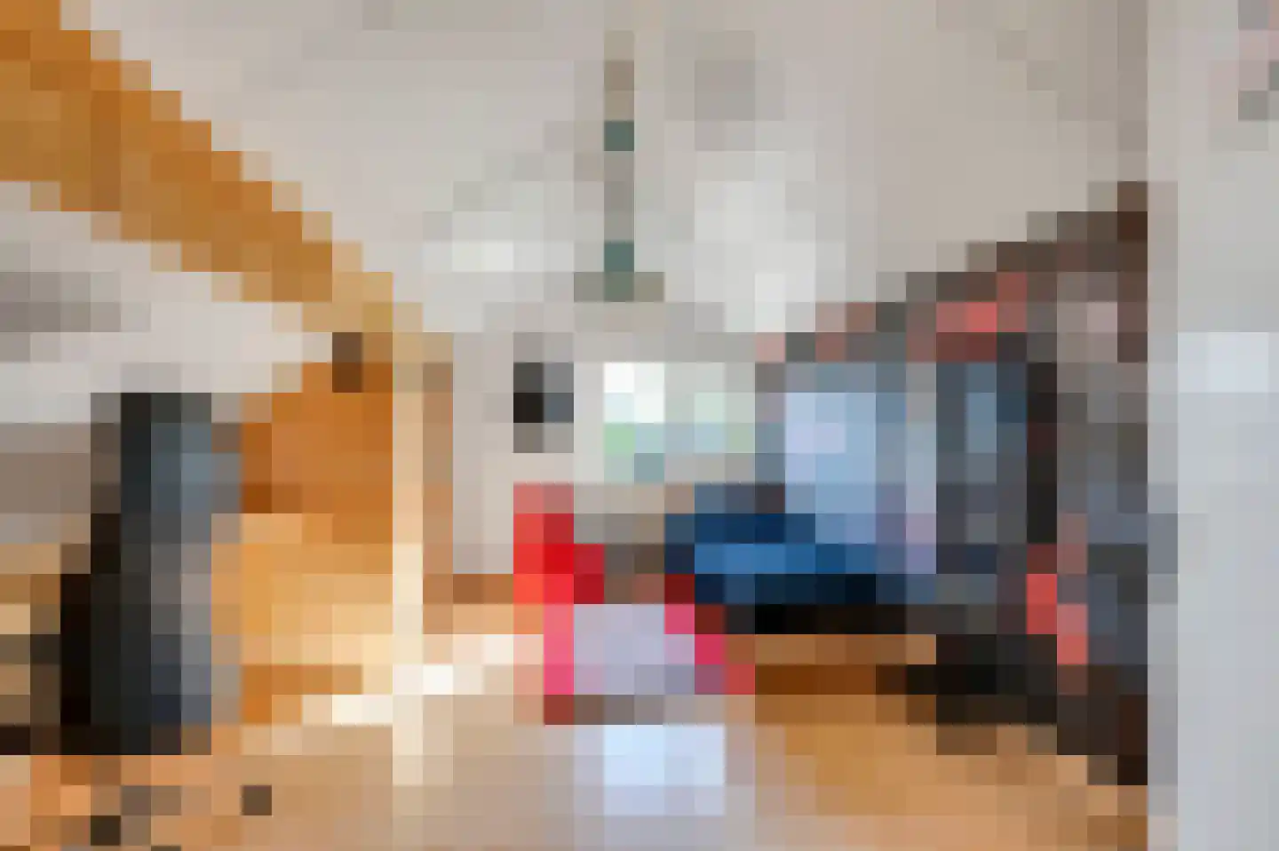 De Beuk 4 Zevenhuizen thumbnail 46