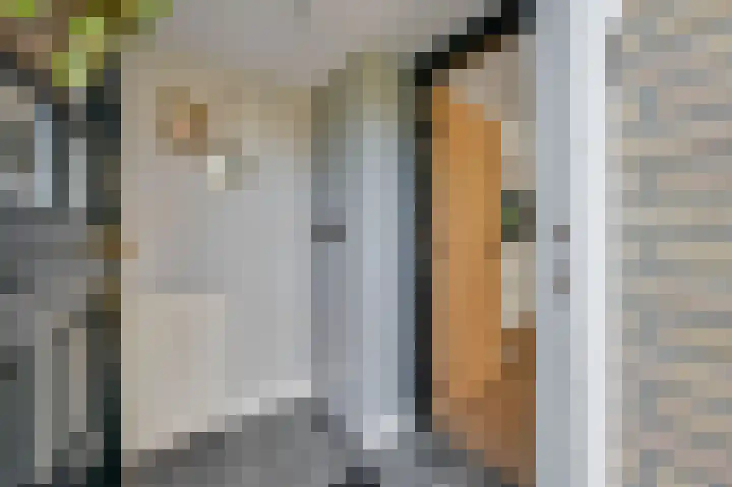 De Beuk 4 Zevenhuizen thumbnail 9