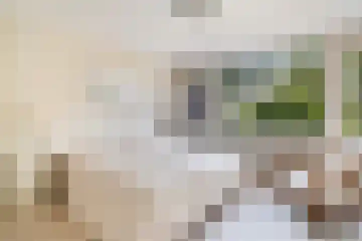 De Beuk 46 Rhoon thumbnail 22