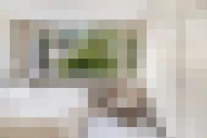 De Beuk 46 Rhoon thumbnail 23