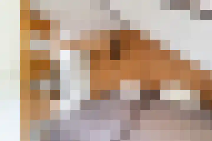 De Beuk 46 Rhoon thumbnail 28