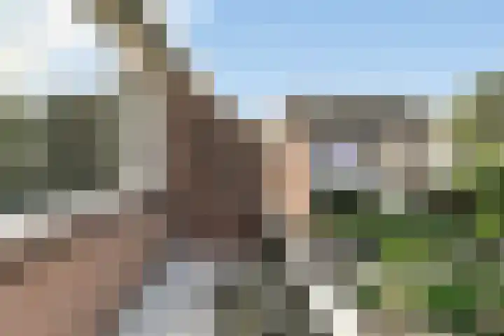 De Beuk 46 Rhoon thumbnail 30