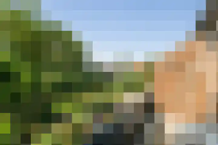 De Beuk 46 Rhoon thumbnail 31