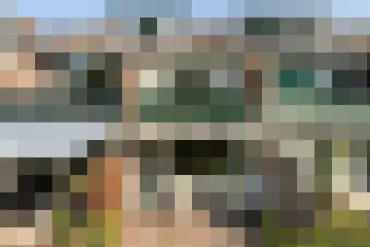 De Beuk 46 Rhoon thumbnail 32