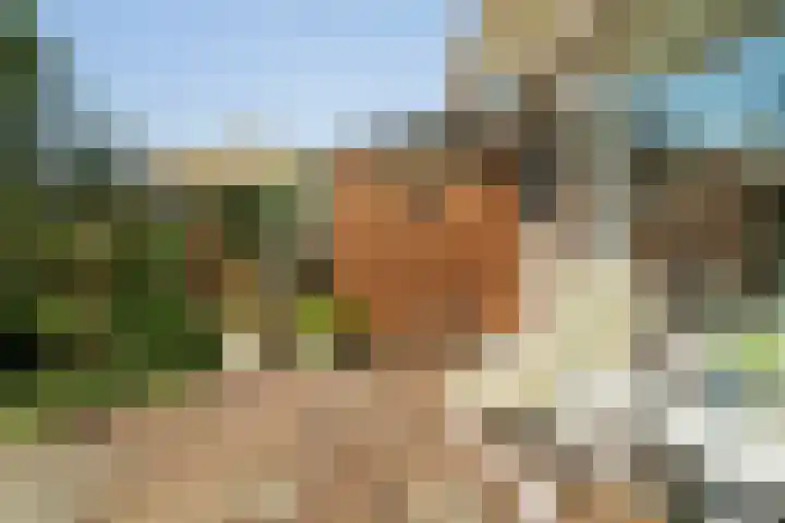 De Beuk 46 Rhoon thumbnail 33