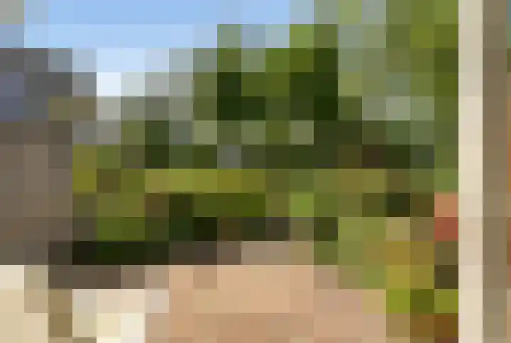 De Beuk 46 Rhoon thumbnail 34