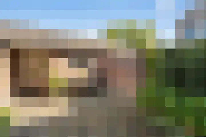 De Beuk 46 Rhoon thumbnail 36