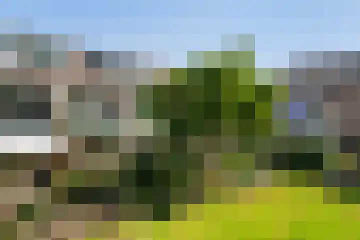 De Beuk 46 Rhoon thumbnail 4