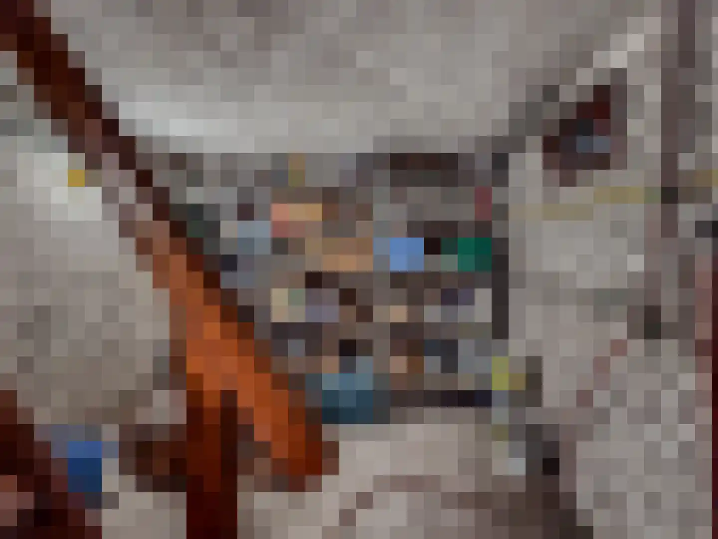 de Beuk 79 Didam thumbnail 12