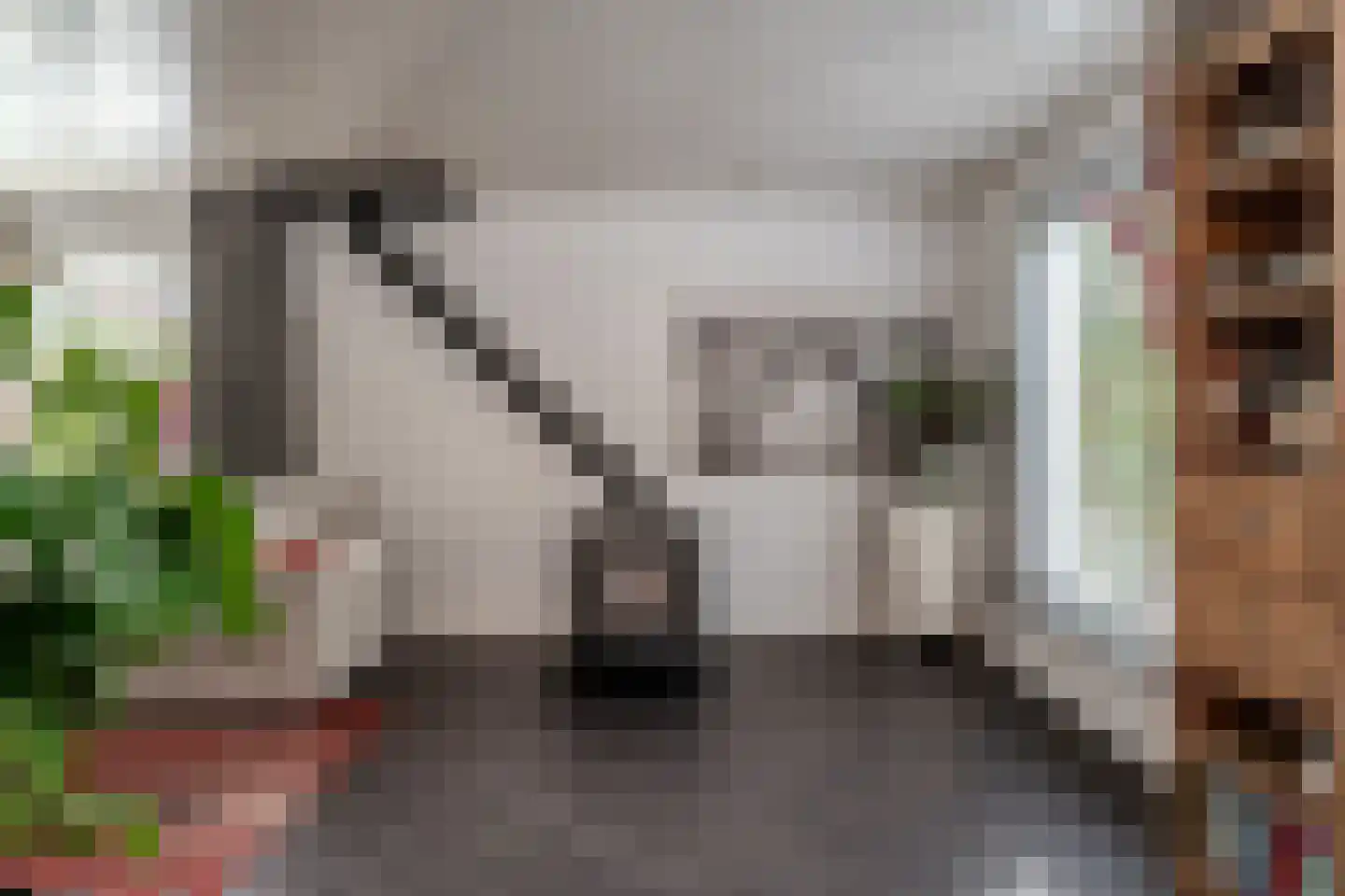 de Beuk 79 Didam thumbnail 14