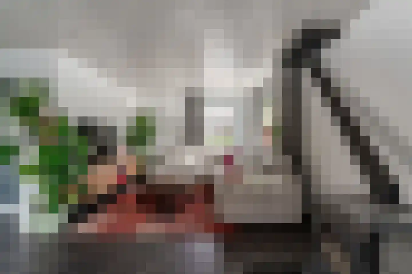 de Beuk 79 Didam thumbnail 15