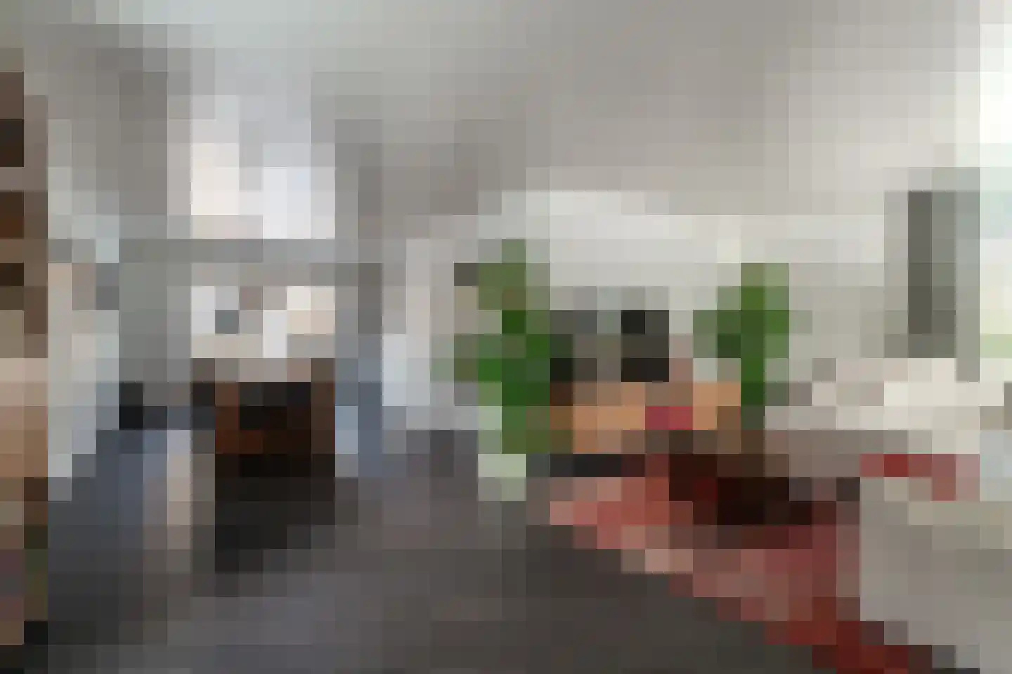 de Beuk 79 Didam thumbnail 17