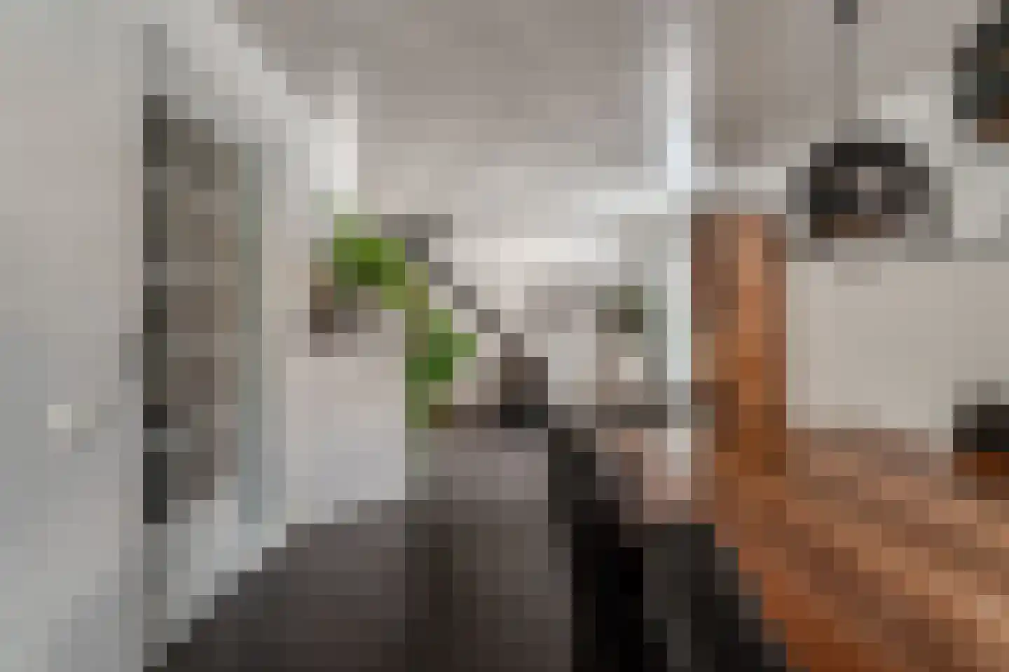 de Beuk 79 Didam thumbnail 19