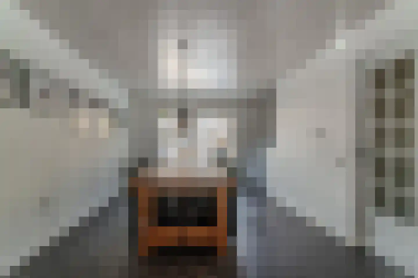 de Beuk 79 Didam thumbnail 20