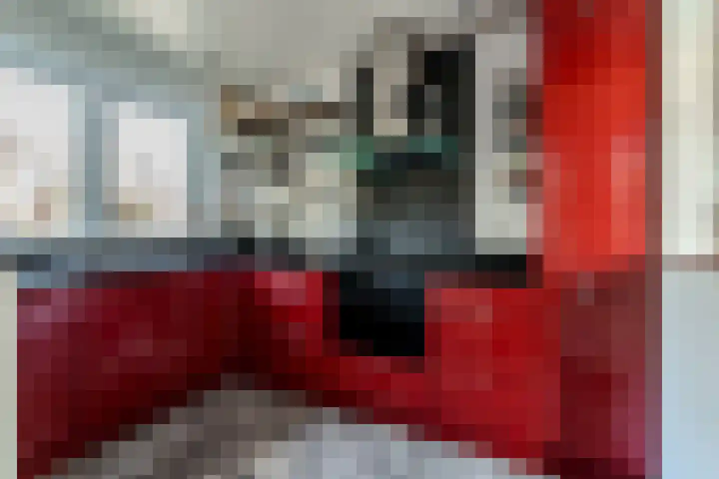 de Beuk 79 Didam thumbnail 21