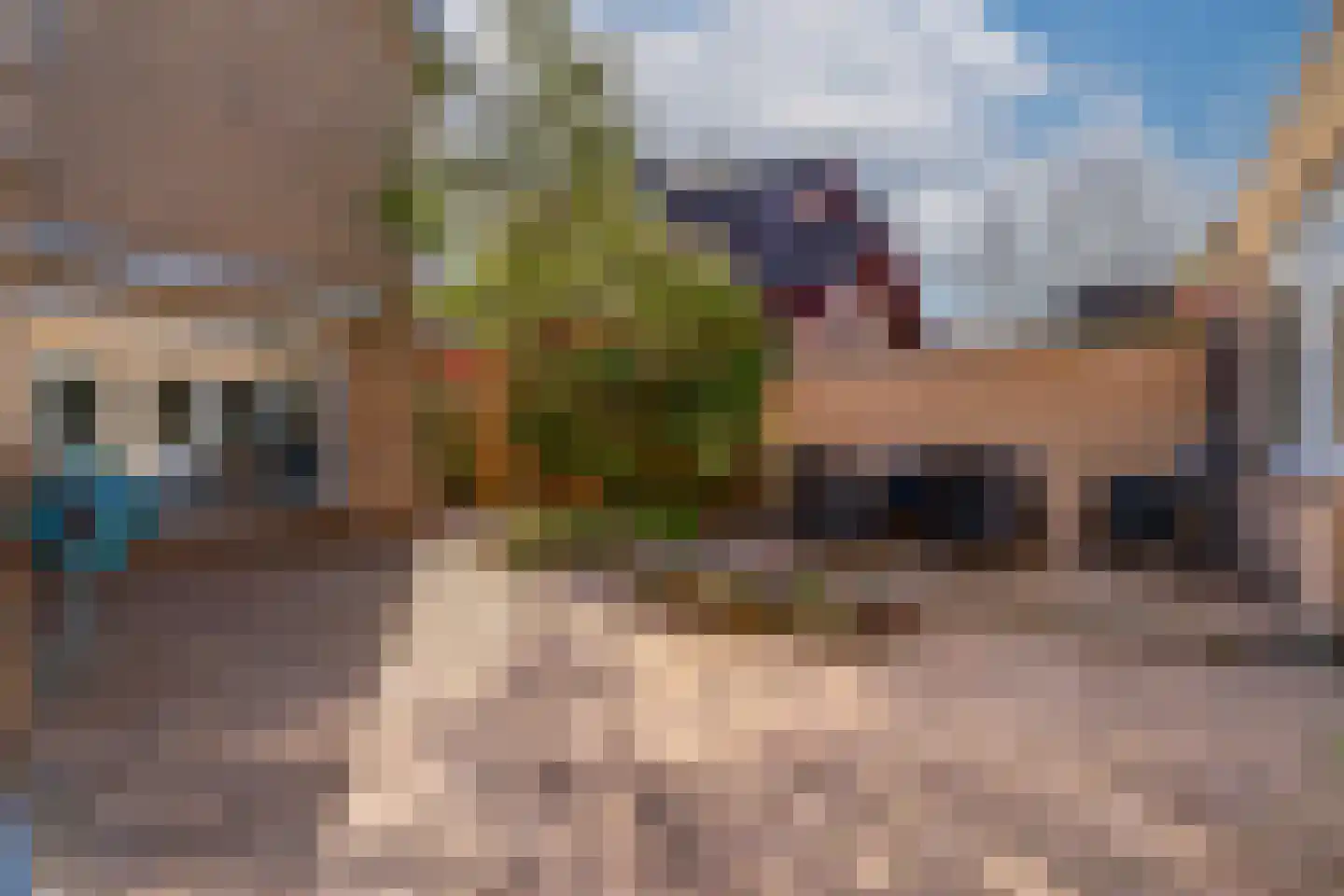 de Beuk 79 Didam thumbnail 25