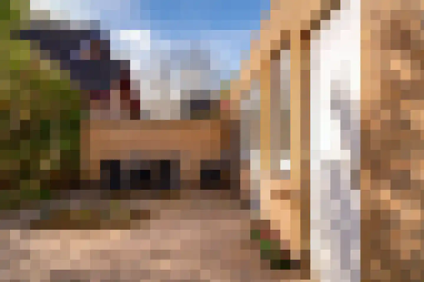 de Beuk 79 Didam thumbnail 26