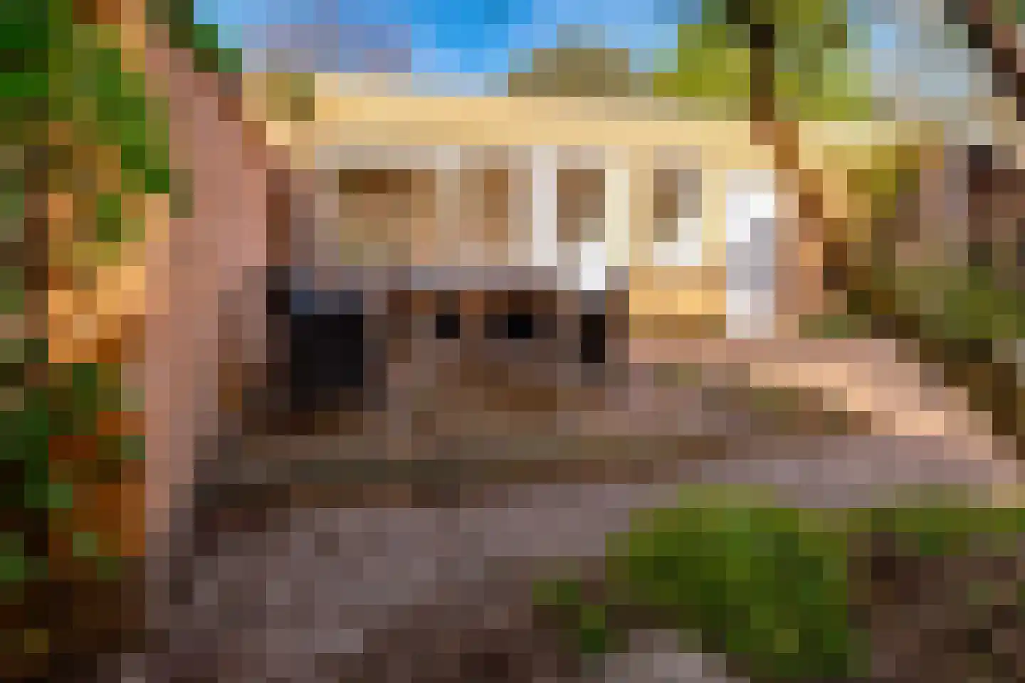 de Beuk 79 Didam thumbnail 27