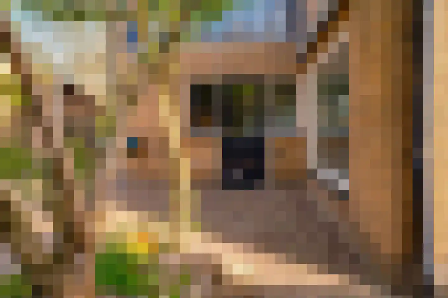 de Beuk 79 Didam thumbnail 31