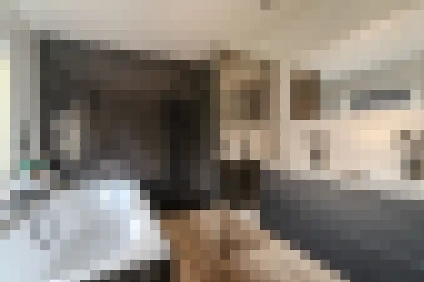de Beuk 79 Didam thumbnail 34