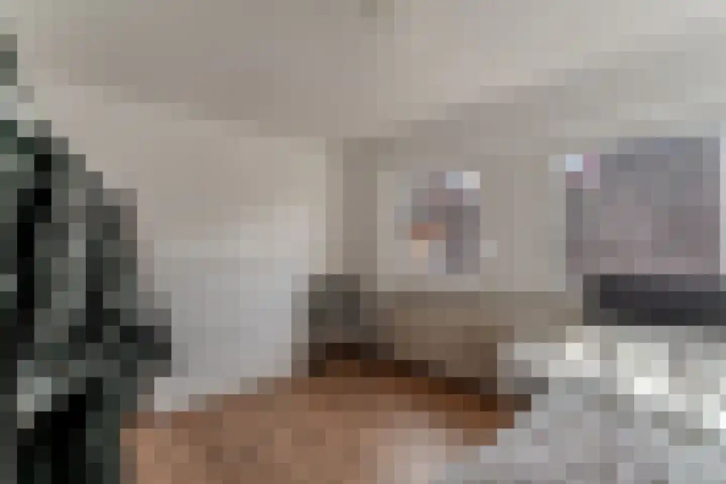 de Beuk 79 Didam thumbnail 40