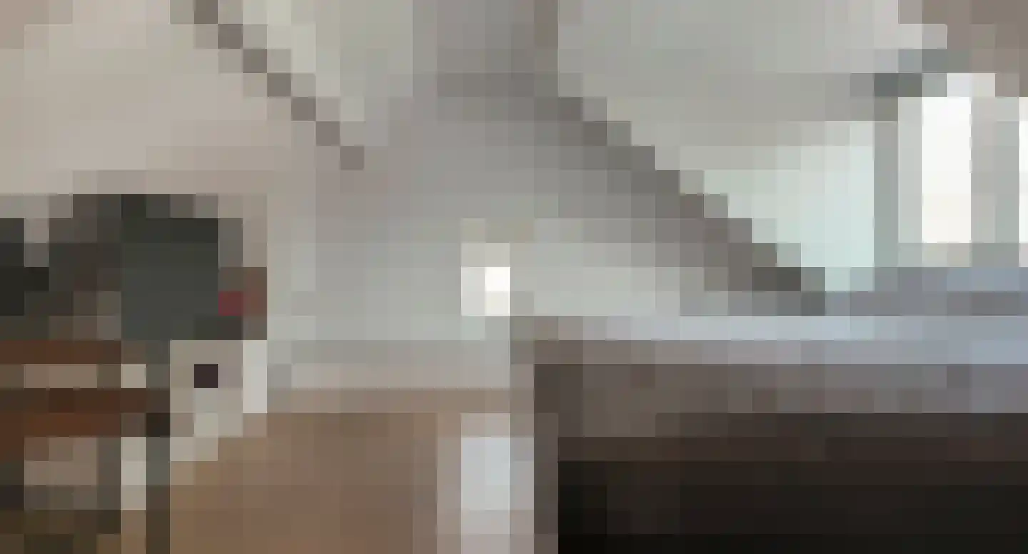 de Beuk 79 Didam thumbnail 46
