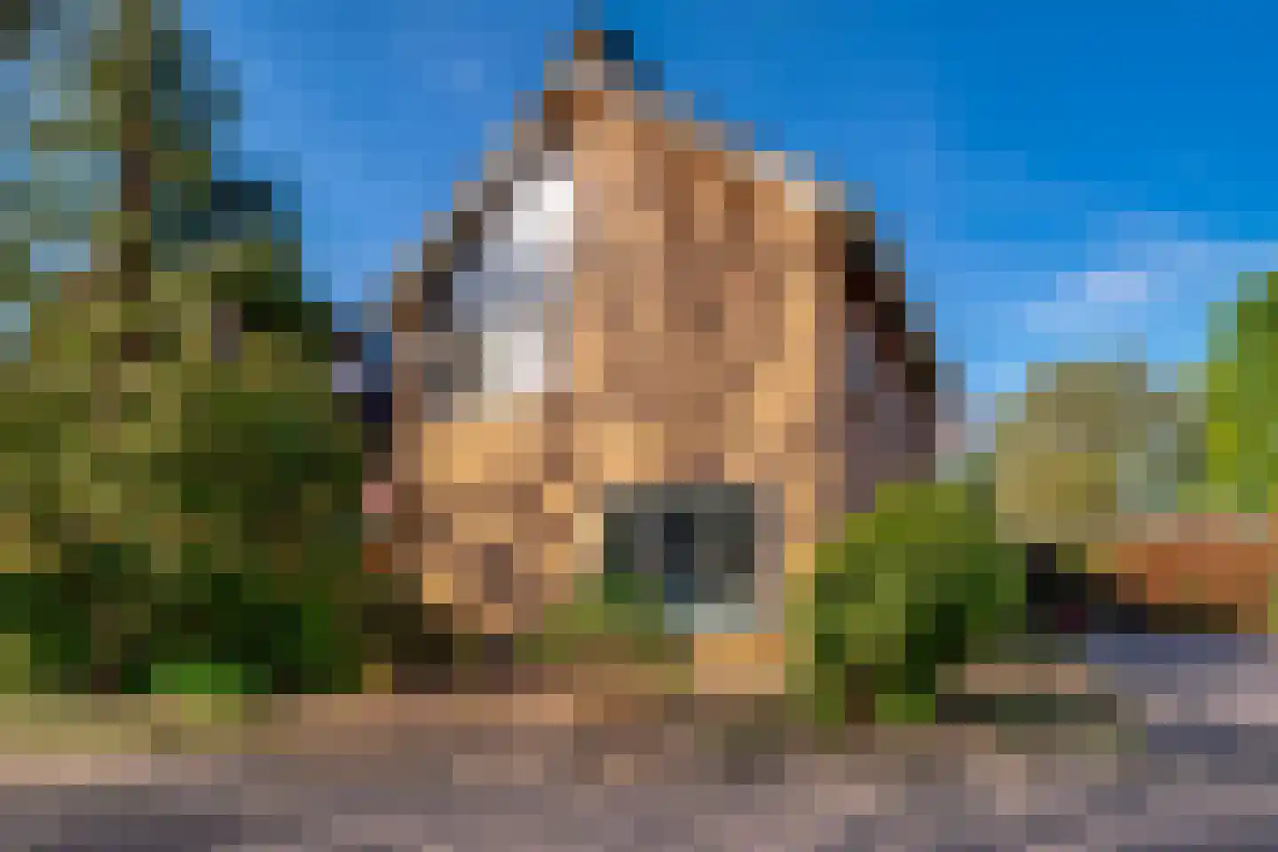 de Beuk 79 Didam thumbnail 5