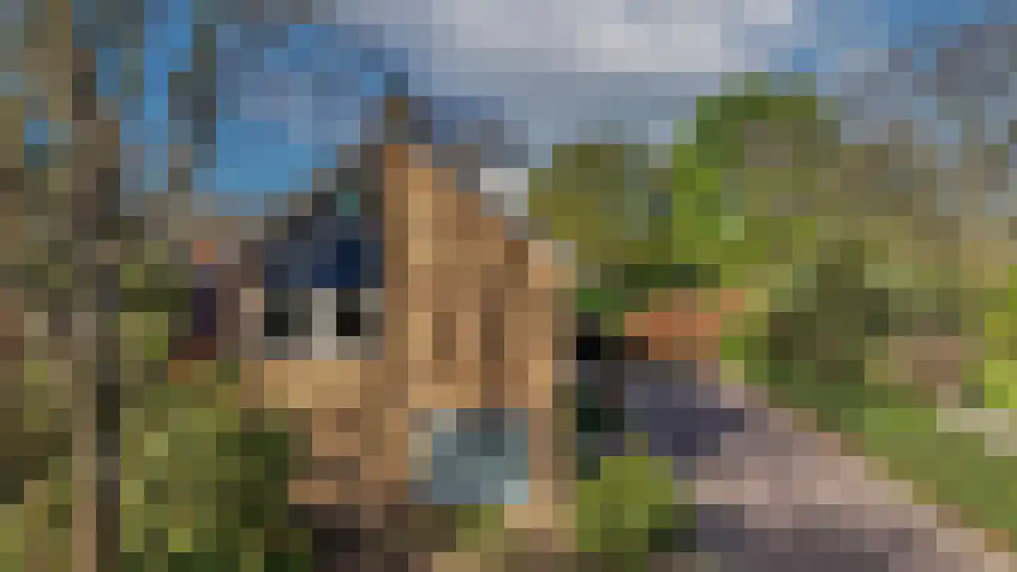 de Beuk 79 Didam thumbnail 6