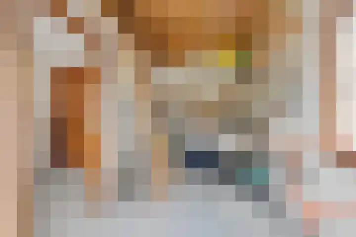 de Beuk 95 Didam thumbnail 13