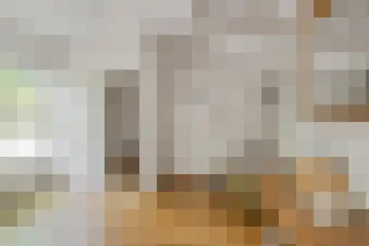 de Beuk 95 Didam thumbnail 15