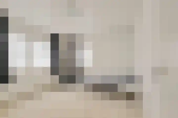 de Beuk 95 Didam thumbnail 17