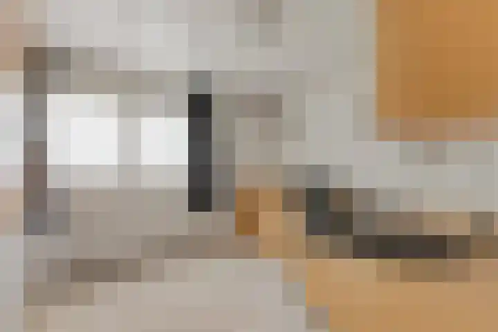 de Beuk 95 Didam thumbnail 19
